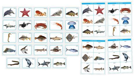 Karty zvieratá vo vode pdf formát, 