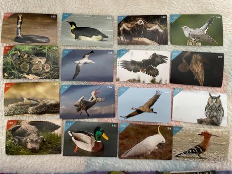 Nálepky animal kingdom new, 