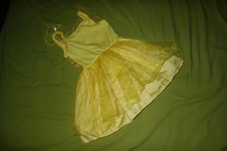 Karnevalovy kostym pudsey od george, 