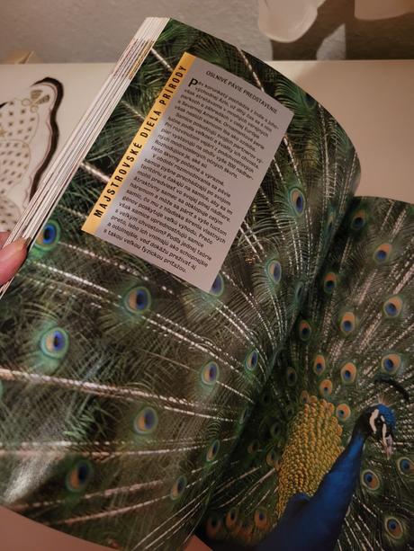 Kniha 1000 divov prírody, 