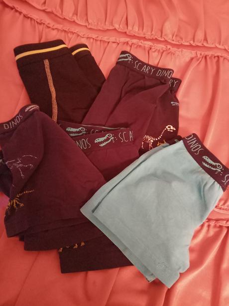 Super boxerky., palomino,98