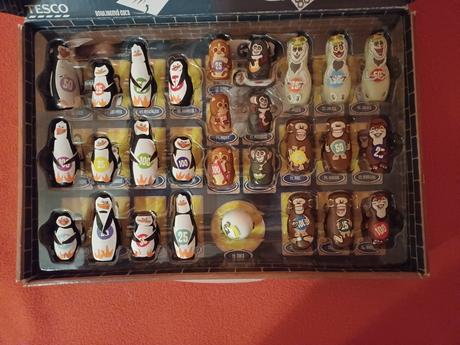 Pinguisc madagaskar, 