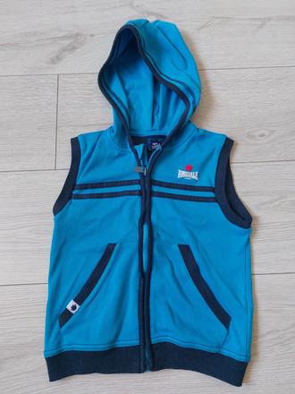 Teplakova vesta, 104