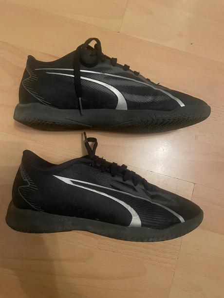 Halovky, puma,35