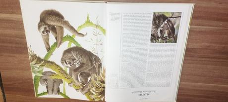 Wildlife of the world, 