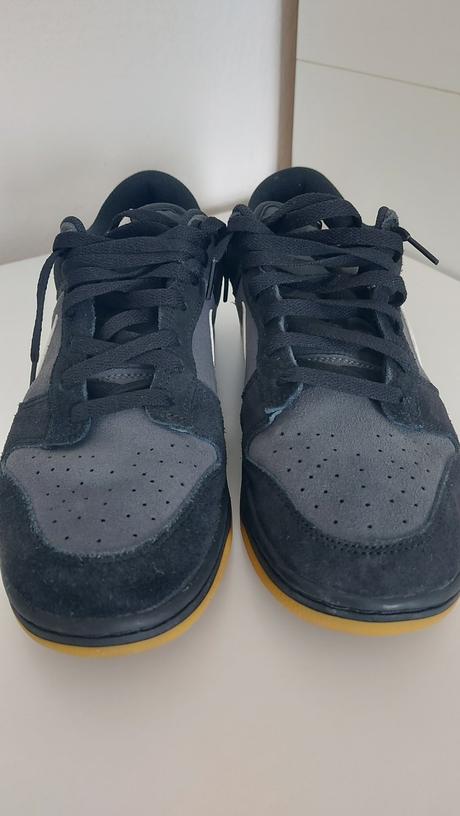 Nike dunk low retro se, nike,44