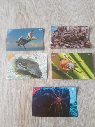 Nálepky animal kingdom, 