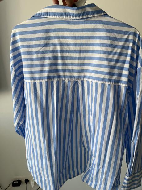 Modra kosela, zara,s