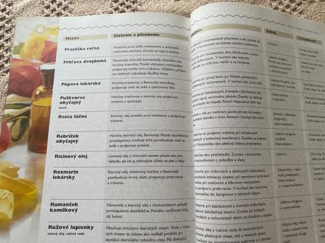 Nádherná veľká kniha rady našej babičky,