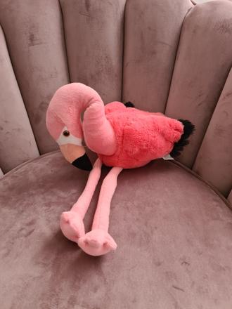 Plameniak plyšový,