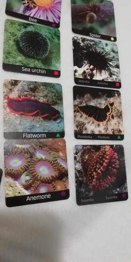 4 sady multifunkčných karticiek - aj, matematika,, 