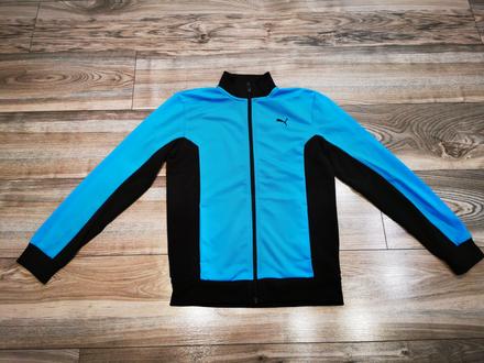 Mikina, v. 152, puma,152