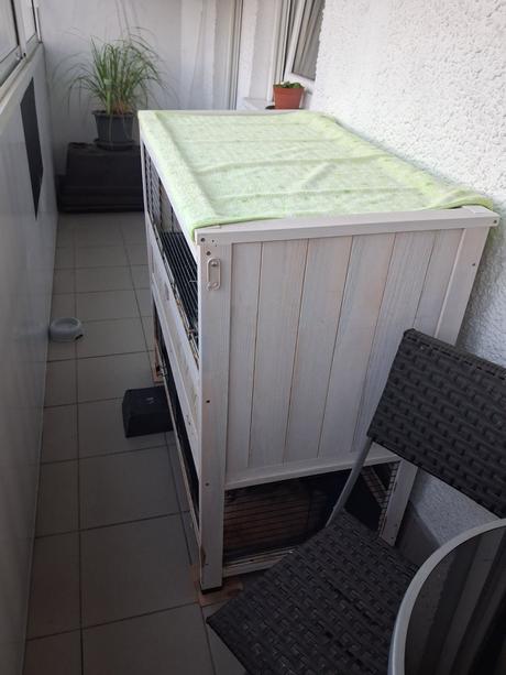2 králiky s veľkou klietkou,