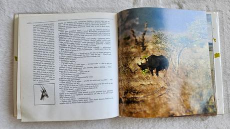 Kniha 'lev nie je ķráľom zvierat',