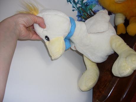 Krásna kačka/kačica, 