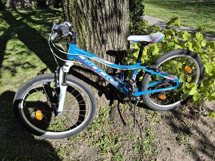 Rock machine catherine, 24