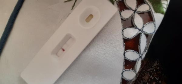 Môžem byť podľa týchto testov tehotná?