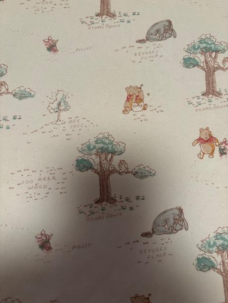 Spací vak disney, disney