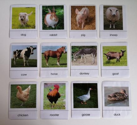 12 ks montessori kartičiek - zvieratká na farme,