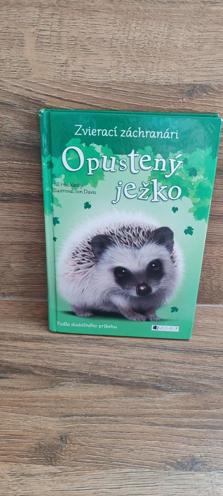 Opustený ježko,