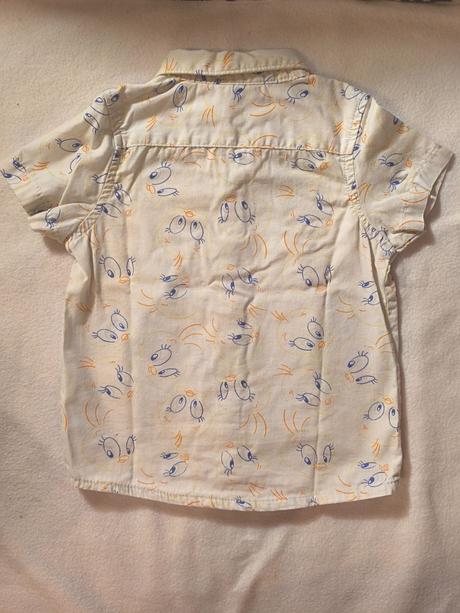 Krátka košeľa, pepco,74