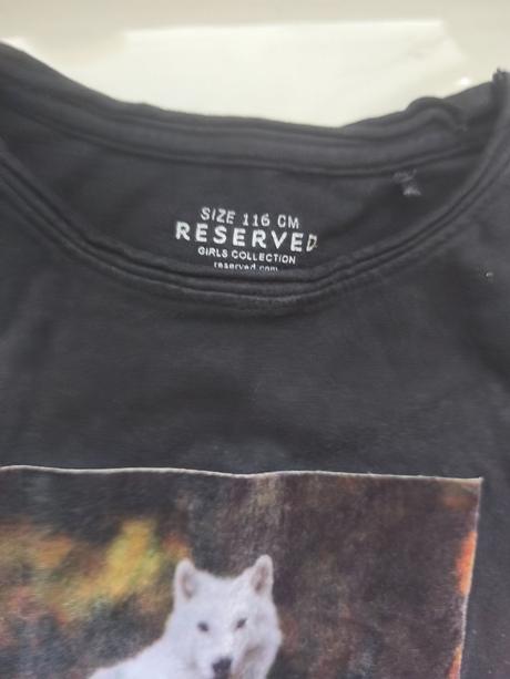 Dievčenské tričko s krátkym rukávom 116, next,116