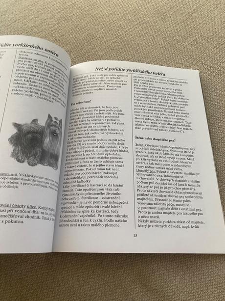 Yorkšírský teriér jak o něj správně pečovat a rozu,