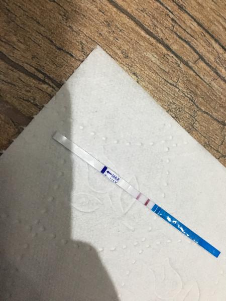 Máte skúsenosti s testami z wishu?