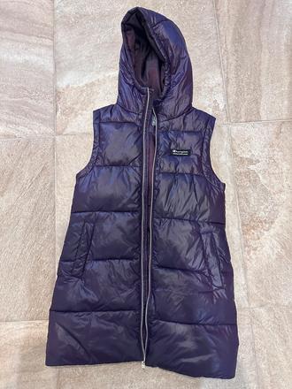 Vesta champion, champion,s