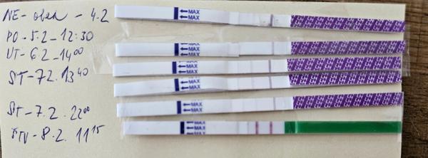 Môžete dôverovať výsledkom ovulačných testov?