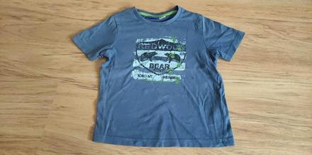 Modré tričko, lupilu,110