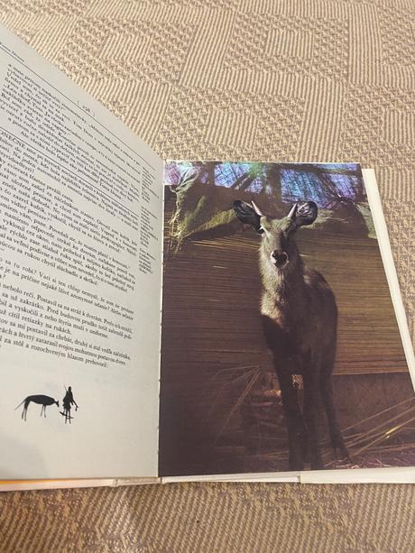 Krásna kniha o afrike safari pod kilimandžárom,