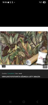 Fototapeta džungla, 