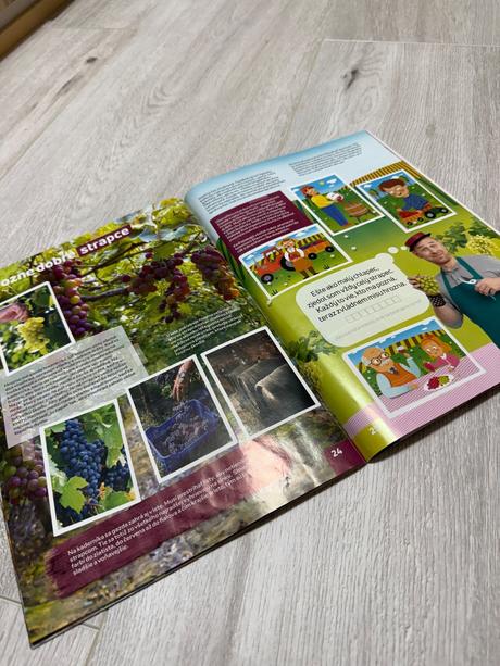 Album na tom našom dvore, 