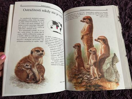 Zvieratá a ich mláďatá v zoo,