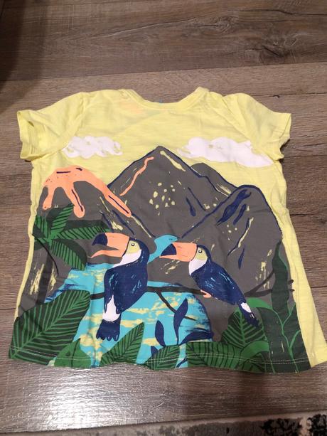 Tričko s papagájami, 116