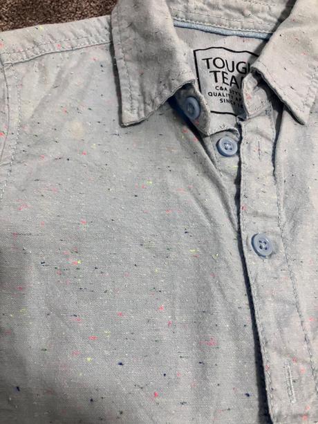 Kosela, palomino,128