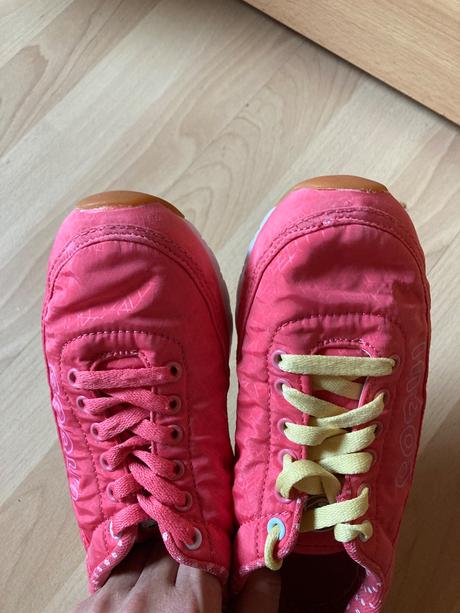 Tesnosky coqui, coqui,36