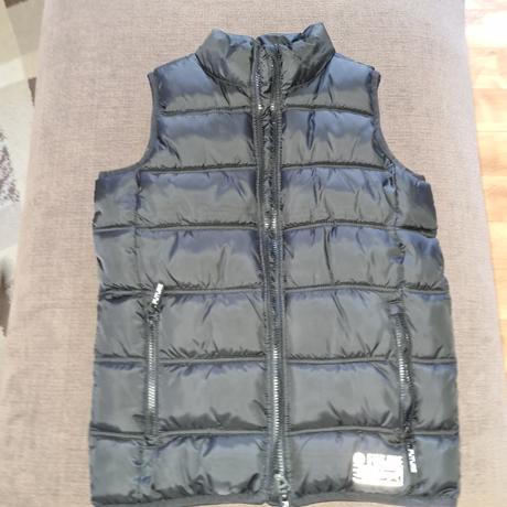 Vesta, chapter young,146