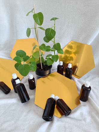 Nadchovnikova tinktúra 50ml,