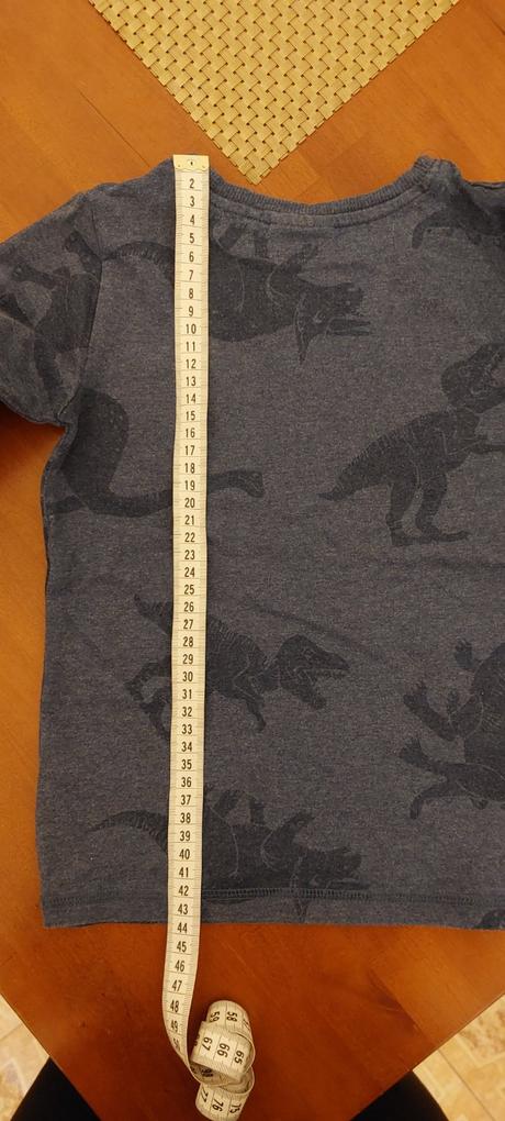 Pyžamo s dinosaurami, next,110