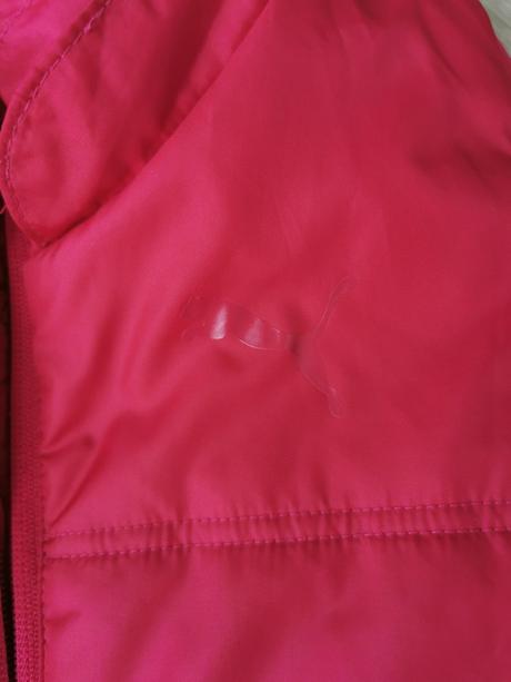 Puma bunda, puma,110