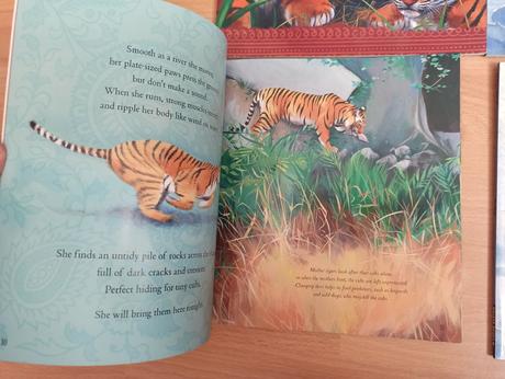 Ice bear /  tigress zositkove odborne, 