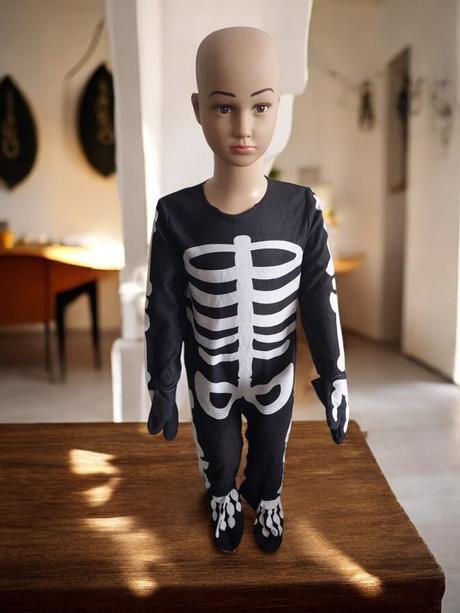 79. kostra jašter veľ. 104,