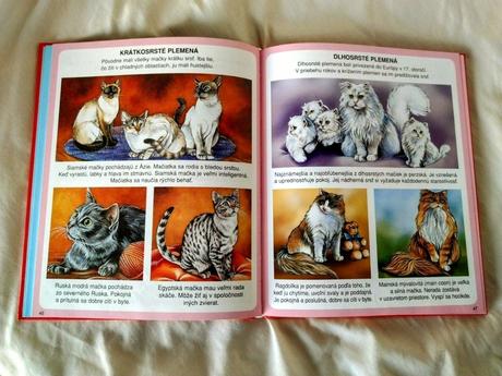 Obrázky domácich miláčikov, 