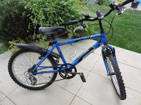 Chlapčenský bicykel  20, 20