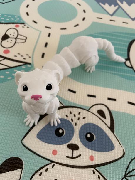 Pohyblivá fretka / hranostaj, 