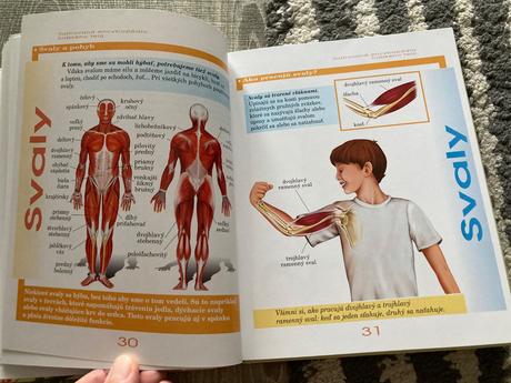 Detská ilustrovaná encyklopédia ľudské telo, 