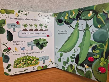 Okienkova kniha čo sa deje na farme a záhrade, 