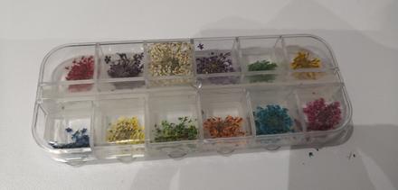 Sušené kvietky na nechty,